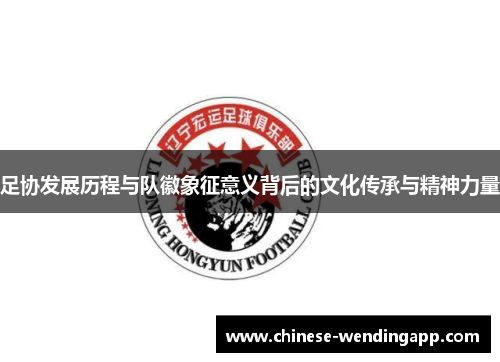 足协发展历程与队徽象征意义背后的文化传承与精神力量