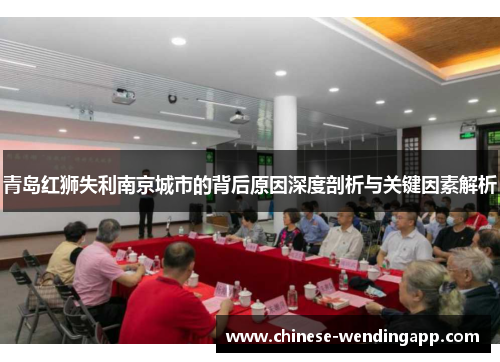 青岛红狮失利南京城市的背后原因深度剖析与关键因素解析