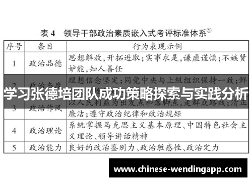 学习张德培团队成功策略探索与实践分析