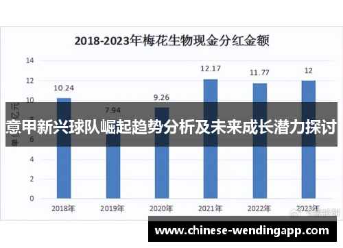意甲新兴球队崛起趋势分析及未来成长潜力探讨 意甲新兴球队崛起趋势分析及未来成长潜力探讨