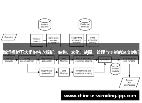 斯坦福桥五大组织特点解析：结构、文化、战略、管理与创新的深度剖析