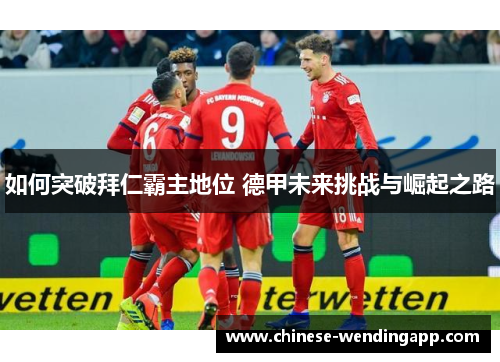 如何突破拜仁霸主地位 德甲未来挑战与崛起之路 如何突破拜仁霸主地位 德甲未来挑战与崛起之路