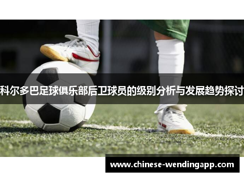 科尔多巴足球俱乐部后卫球员的级别分析与发展趋势探讨