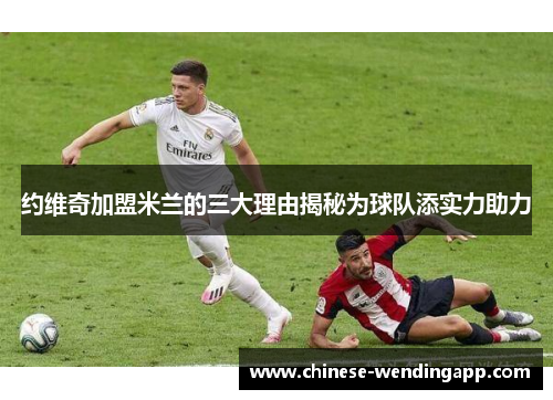 约维奇加盟米兰的三大理由揭秘为球队添实力助力