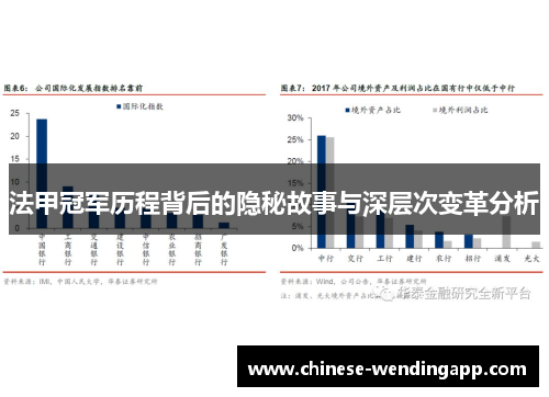 法甲冠军历程背后的隐秘故事与深层次变革分析 法甲冠军历程背后的隐秘故事与深层次变革分析