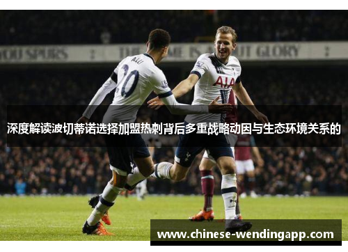 深度解读波切蒂诺选择加盟热刺背后多重战略动因与生态环境关系的