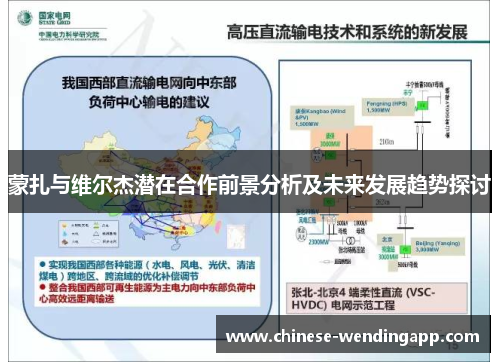 蒙扎与维尔杰潜在合作前景分析及未来发展趋势探讨