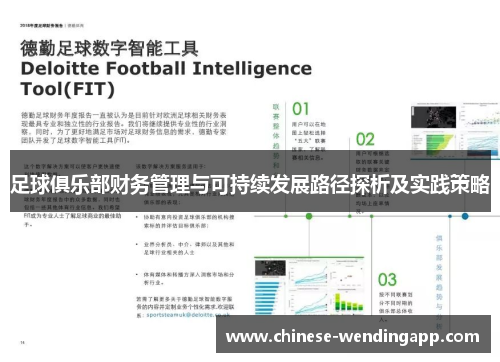 足球俱乐部财务管理与可持续发展路径探析及实践策略