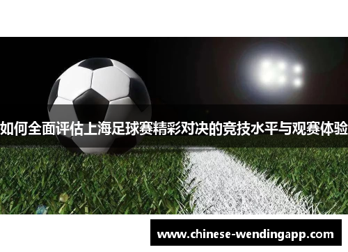 如何全面评估上海足球赛精彩对决的竞技水平与观赛体验