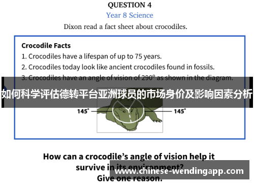 如何科学评估德转平台亚洲球员的市场身价及影响因素分析