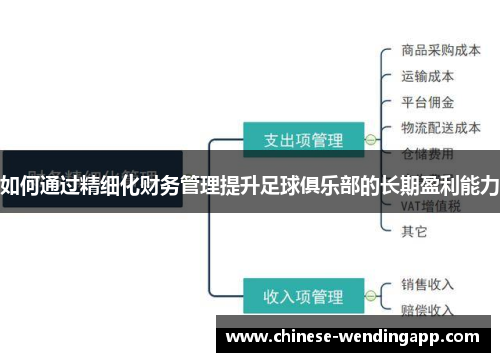 如何通过精细化财务管理提升足球俱乐部的长期盈利能力
