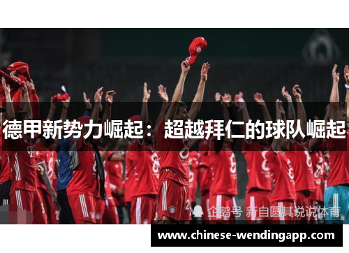 德甲新势力崛起：超越拜仁的球队崛起