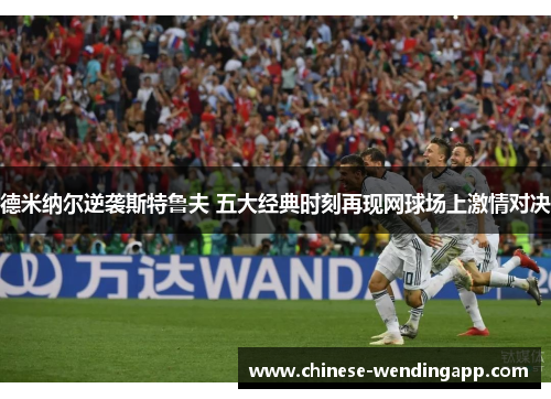 德米纳尔逆袭斯特鲁夫 五大经典时刻再现网球场上激情对决