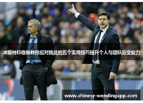 波斯特科格鲁教你应对挑战的五个实用技巧提升个人与团队应变能力