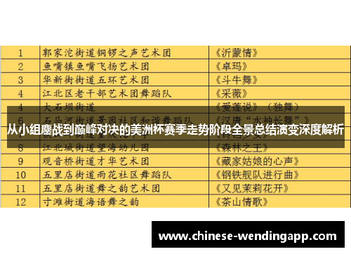 从小组鏖战到巅峰对决的美洲杯赛季走势阶段全景总结演变深度解析