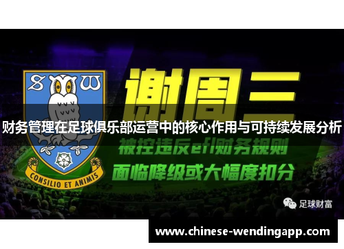 财务管理在足球俱乐部运营中的核心作用与可持续发展分析