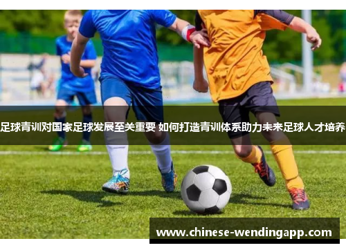 足球青训对国家足球发展至关重要 如何打造青训体系助力未来足球人才培养
