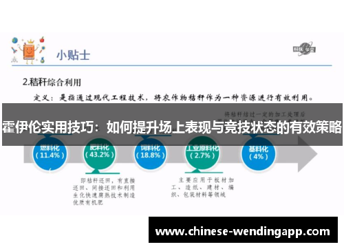 霍伊伦实用技巧：如何提升场上表现与竞技状态的有效策略