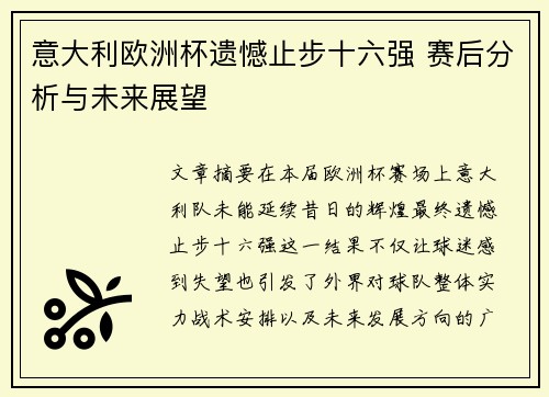 意大利欧洲杯遗憾止步十六强 赛后分析与未来展望